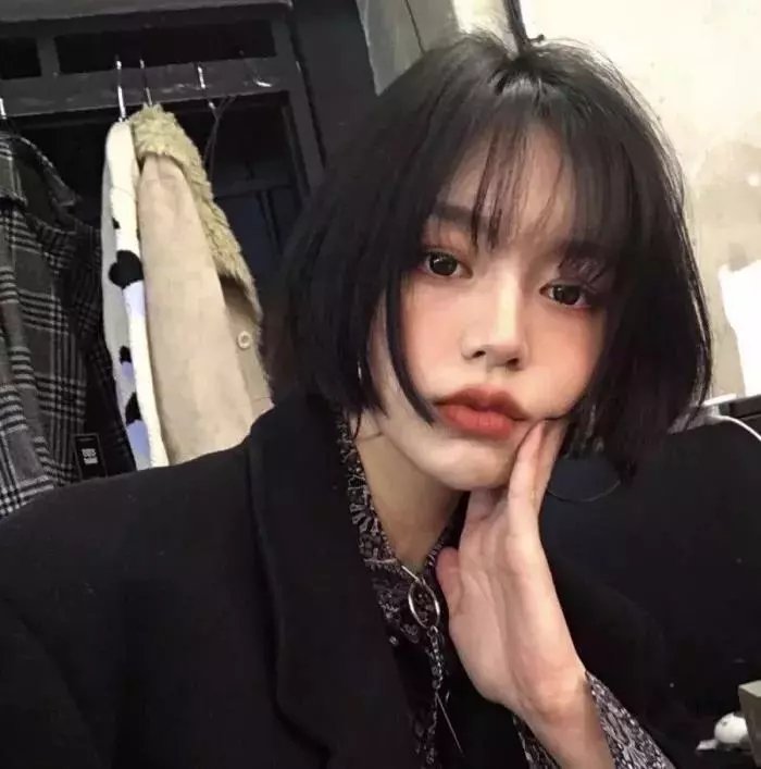 森林里的熊先生